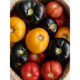 mejores clases de tomates de toda bogota