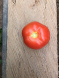 tomate de bogota