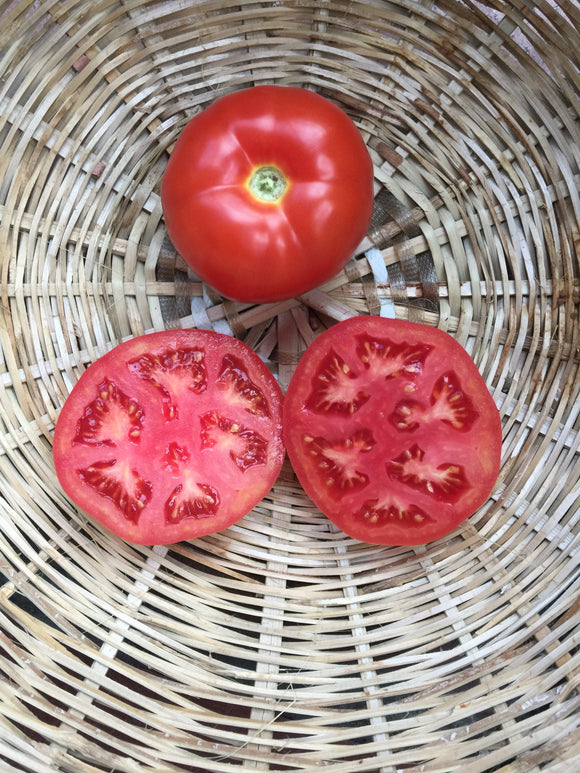 tomato chonto