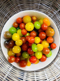 tomates de colores cherry